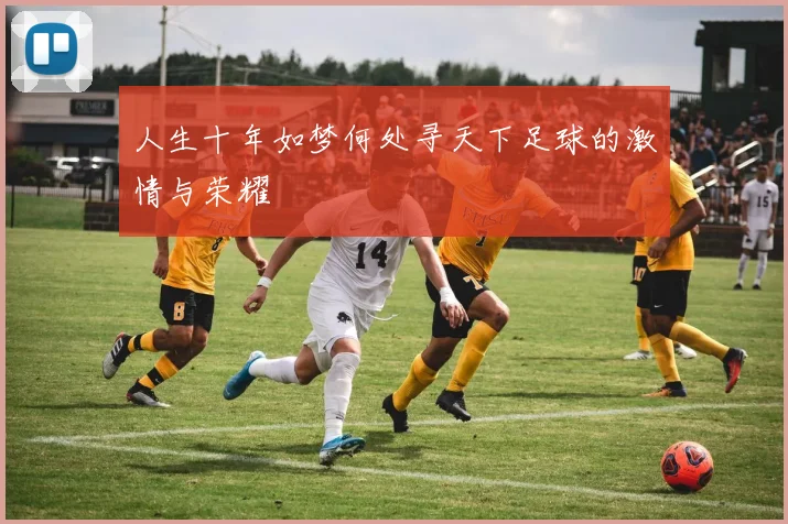 人生十年如梦何处寻天下足球的激情与荣耀