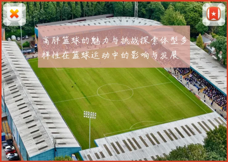 高胖篮球的魅力与挑战探索体型多样性在篮球运动中的影响与发展